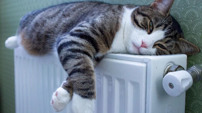 Das Anbringen von Folie hinter den Batterien ist nutzlos: Es gibt eine viel bessere Methode