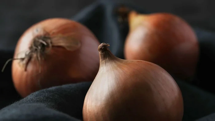 Die besten Sorten von Riesenzwiebeln sind benannt: süß, saftig und wachsen gut bei Kälte und Trockenheit